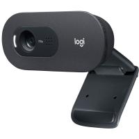 LOGITECH C505 HD spletna kamera