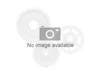 MS DSP WIN Svr Std 2025 64Bit 16C (EN)