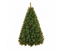 JELKA BOR 200 CM
