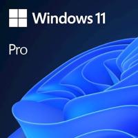 Microsoft DSP Windows 11 Professional 64bit, slovenski
